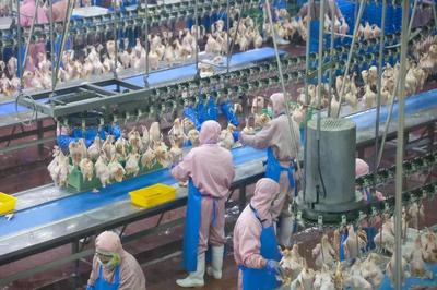 乳山預(yù)制菜企業(yè)實(shí)現(xiàn)年銷售額近10億元，飼料原料銷售雙輪驅(qū)動(dòng)