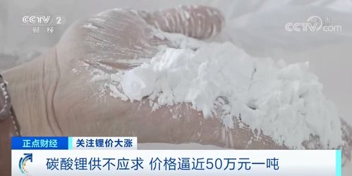 鋰資源瘋狂搶購(gòu)背后 飼料原料銷售中的供需博弈與市場(chǎng)隱憂