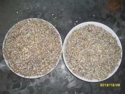 山東聊城玉米下腳料玉米篩漏碎粒價格分析與銷售指南