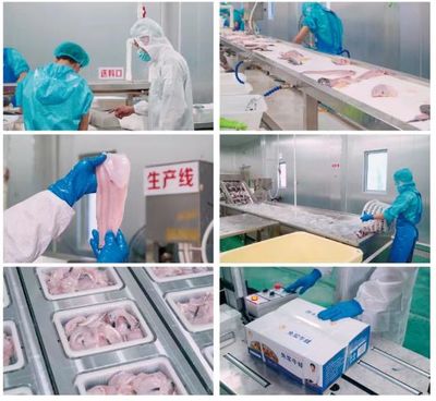 牛蛙飼料巨頭再啟新篇 年銷破10萬噸后，戰(zhàn)略布局原料銷售市場(chǎng)